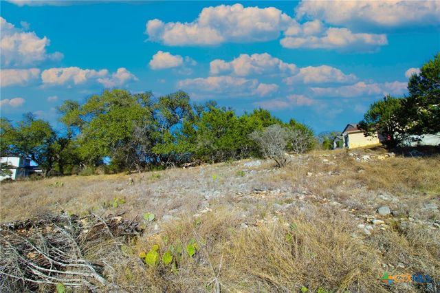 436 Cavy Road, New Braunfels, TX 78132