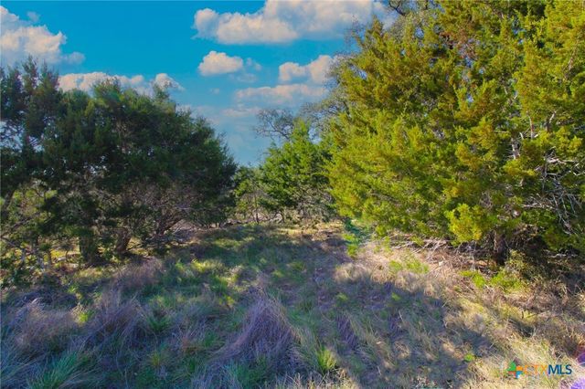 436 Cavy Road, New Braunfels, TX 78132