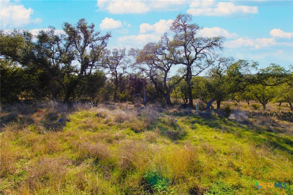 436 Cavy Road, New Braunfels, TX 78132