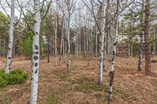 1290 Firestone Drive, Woodland Park, CO 80863