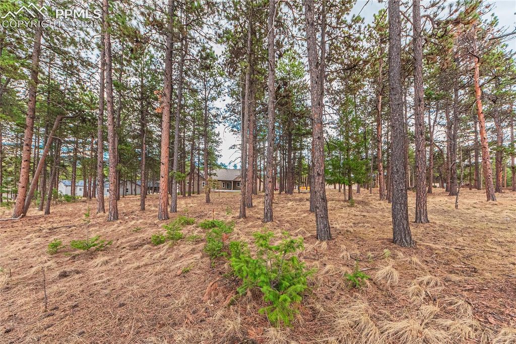 1290 Firestone Drive, Woodland Park, CO 80863 — photo 2