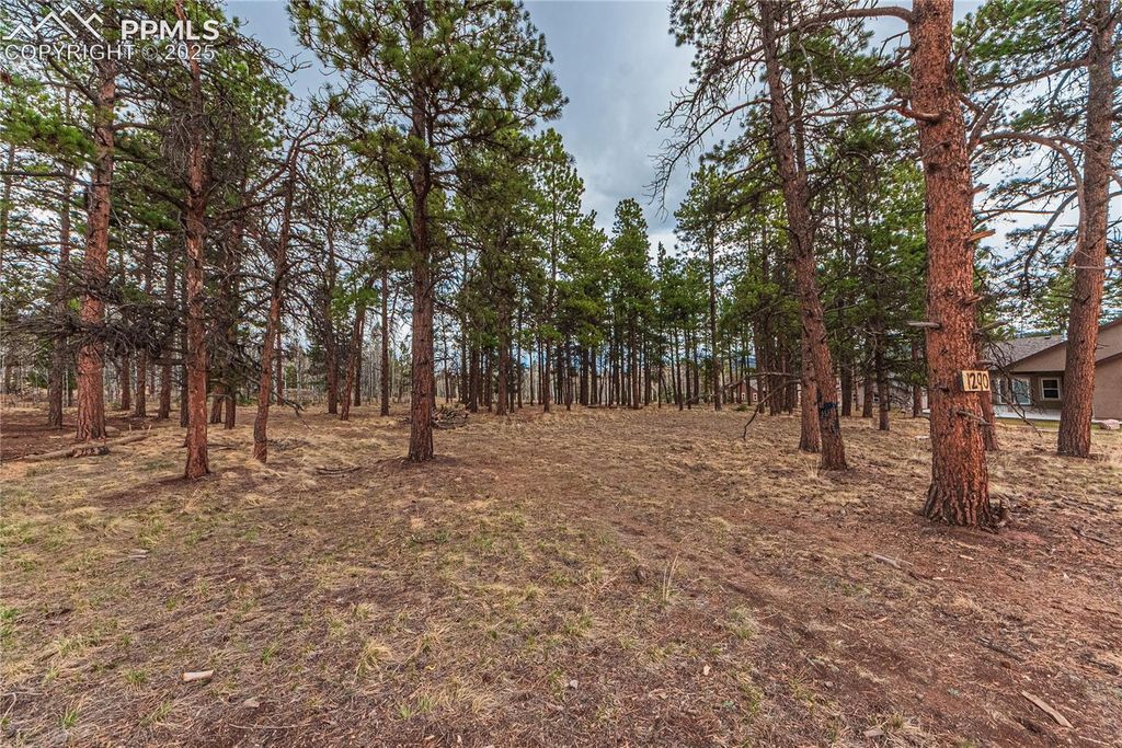 1290 Firestone Drive, Woodland Park, CO 80863 — photo 3