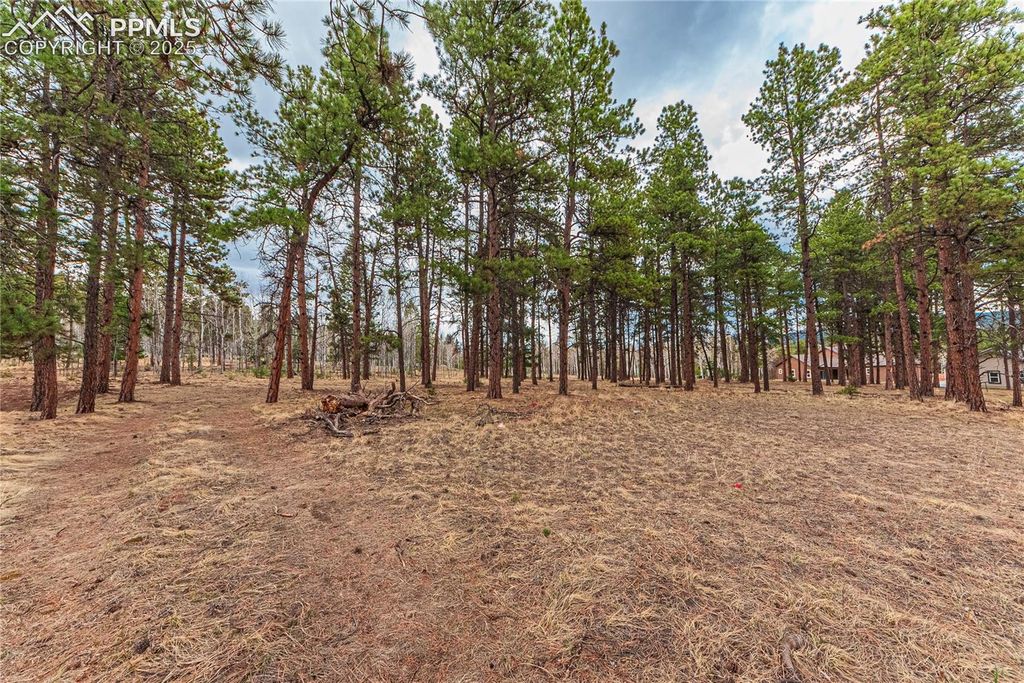 1290 Firestone Drive, Woodland Park, CO 80863 — photo 4