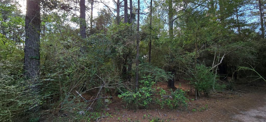 0 Fisher Drive, Tomball, TX 77377