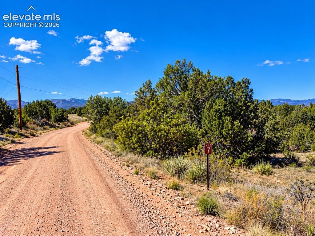 Newton Road, Pueblo, CO 81005 — photo 4