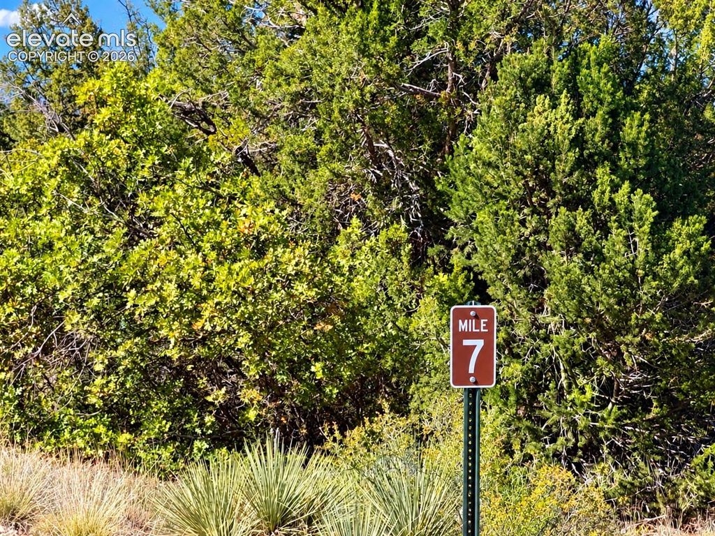 Newton Road, Pueblo, CO 81005 — photo 5