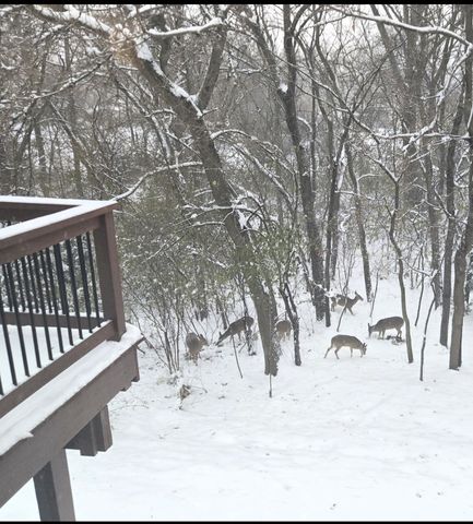 927 Treeline Court, Lockport, IL 60441