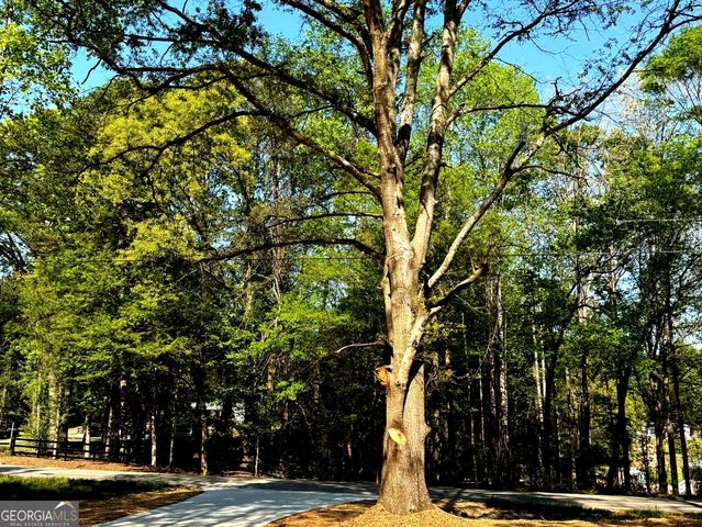 921 Silver Dollar Road, Maysville, GA 30558
