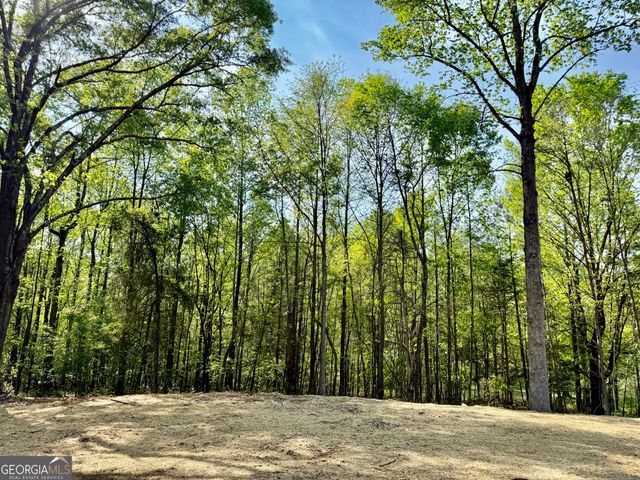 921 Silver Dollar Road, Maysville, GA 30558