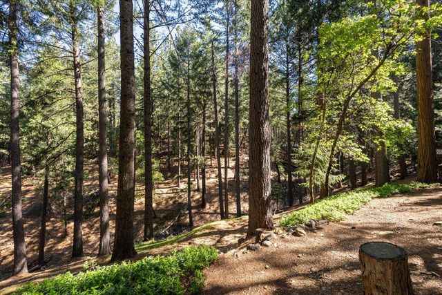 5671 Sierra Springs Dr, Pollock Pines, CA 95726
