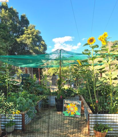 20870 Lynn Ln, Sonora, CA 95370