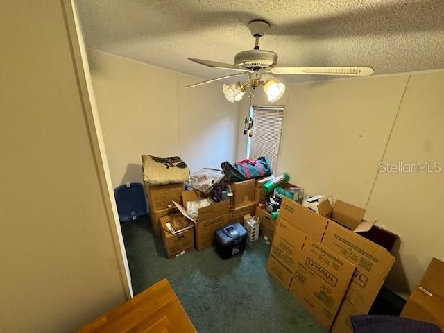 19231 NW HIGHWAY 335, Williston, FL 32696