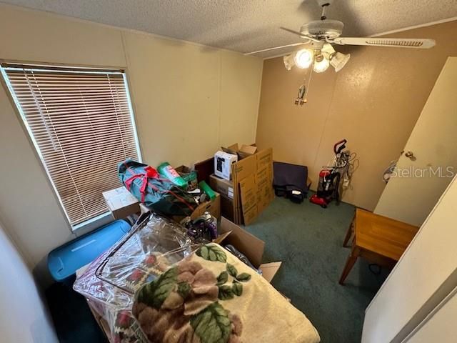 19231 NW HIGHWAY 335, Williston, FL 32696