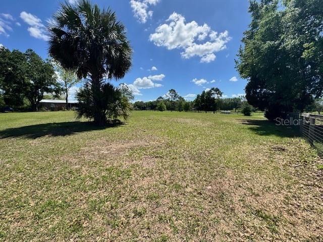 19231 NW HIGHWAY 335, Williston, FL 32696