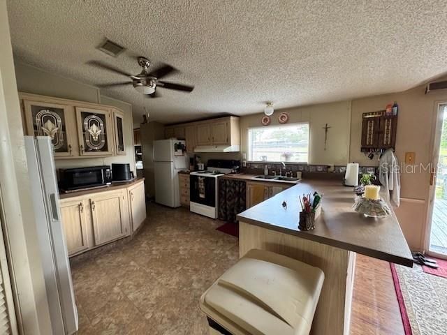 19231 NW HIGHWAY 335, Williston, FL 32696