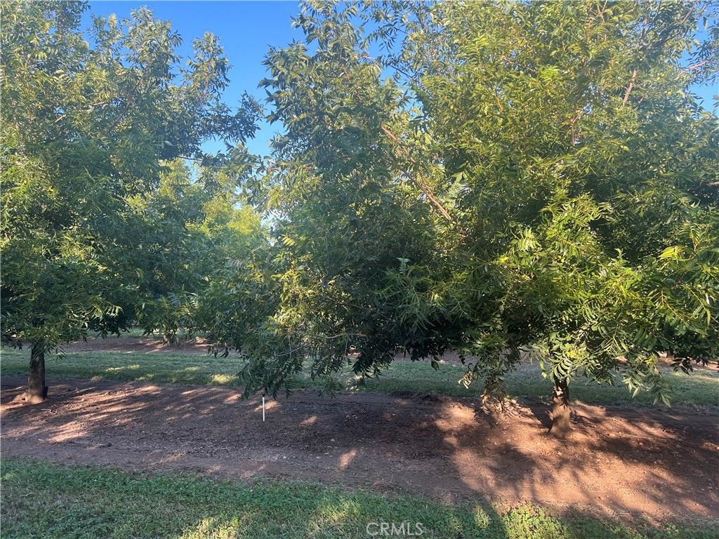 Image 15 of property listing at 14450 Meridian Road, Chico, CA 95973