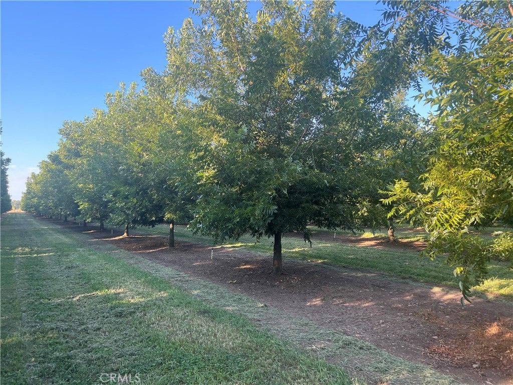 Image 16 of property listing at 14450 Meridian Road, Chico, CA 95973