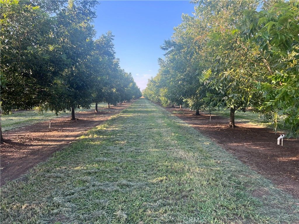 Image 18 of property listing at 14450 Meridian Road, Chico, CA 95973