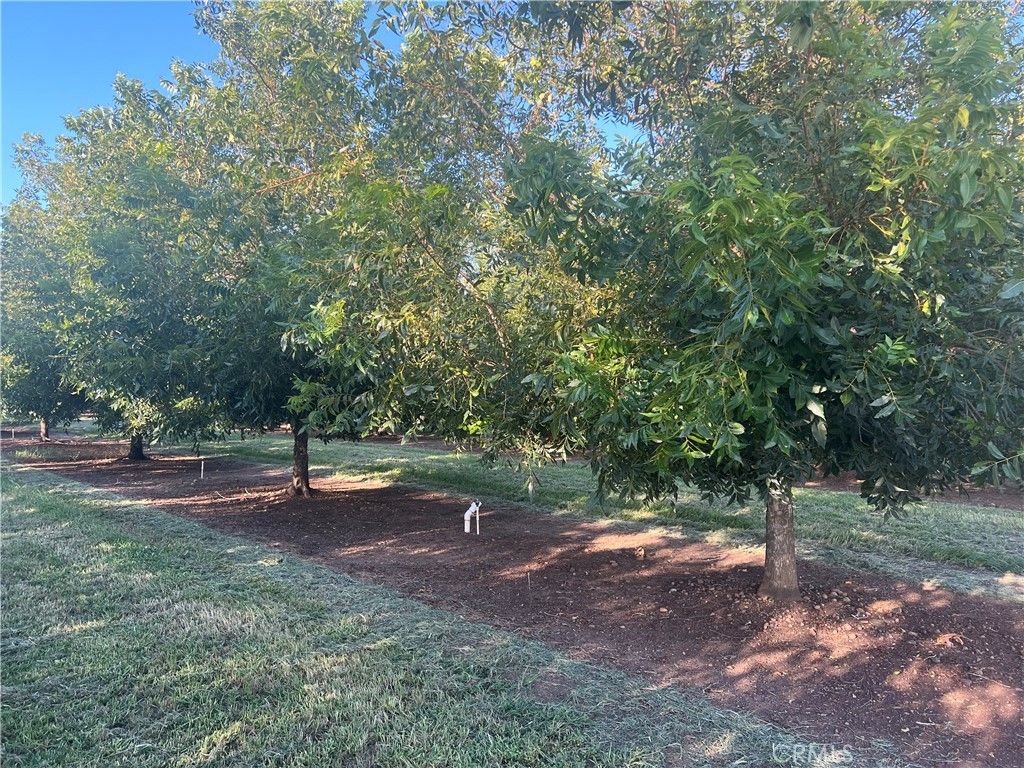 Image 19 of property listing at 14450 Meridian Road, Chico, CA 95973