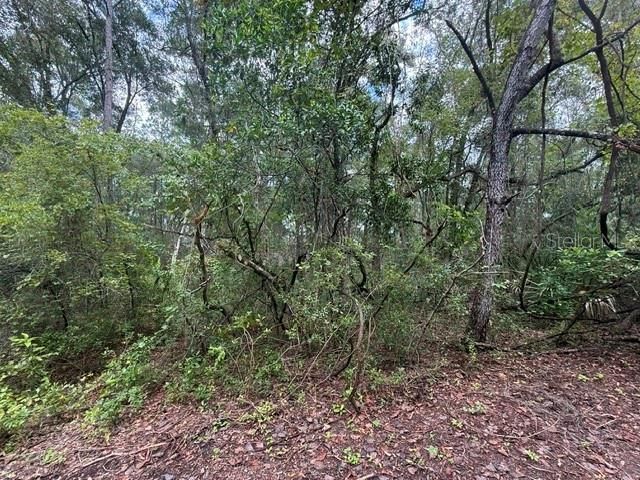 177 N OAKWOOD TERRACE, Inverness, FL 34453