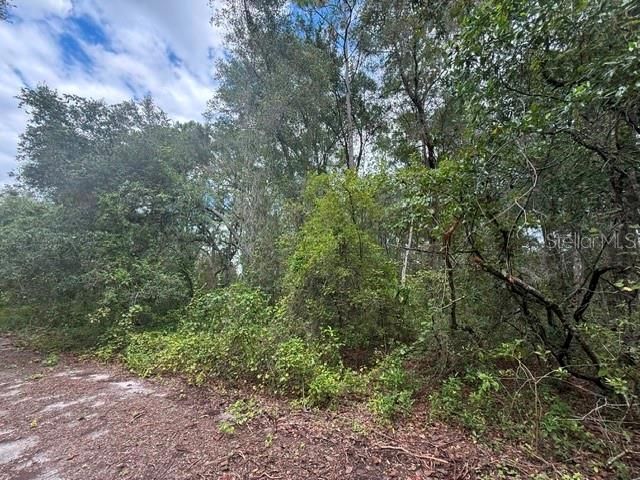 177 N OAKWOOD TERRACE, Inverness, FL 34453