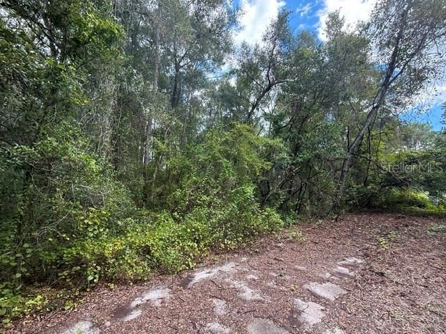 177 N OAKWOOD TERRACE, Inverness, FL 34453