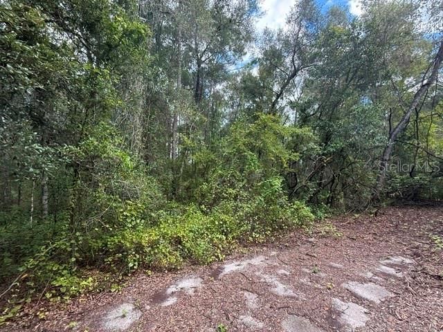177 N OAKWOOD TERRACE, Inverness, FL 34453