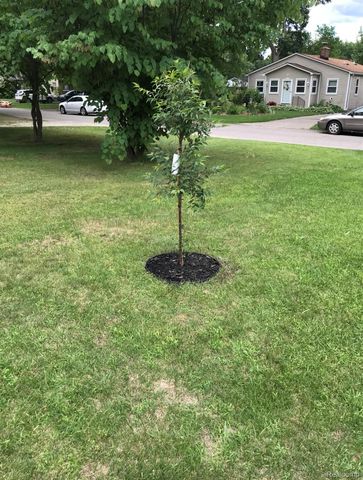 36268 Schley Avenue, Westland, MI 48186