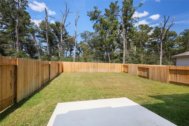 16335 Airborne Arch Lane, Porter, TX 77365