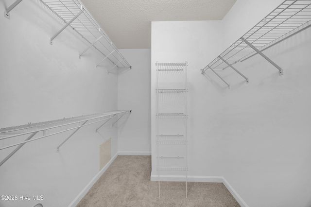 4102 Breezewood Drive Apt 101, Wilmington, NC 28412
