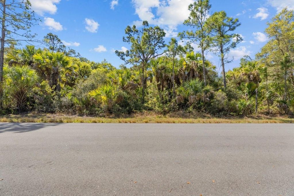 18047 SAVAGE AVENUE, Port Charlotte, FL 33948