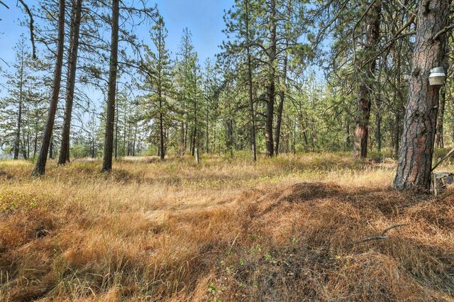 12511 S State Route 904 Hwy, Cheney, WA 99004