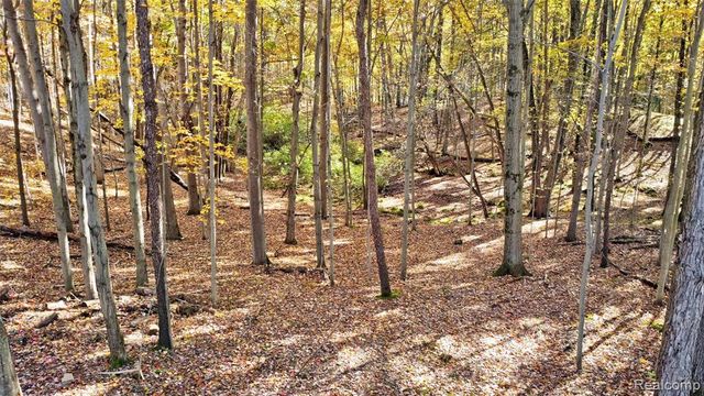 1320 Hosner Road, Oxford, MI 48370