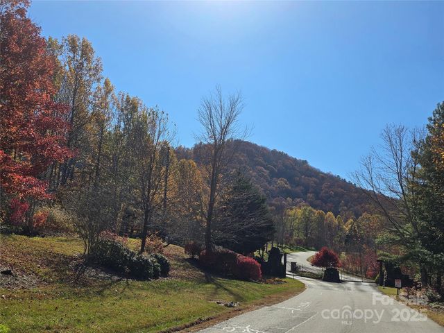 295 S Feather Falls Trail 50, Black Mountain, NC 28711