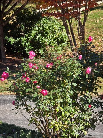 295 S Feather Falls Trail 50, Black Mountain, NC 28711