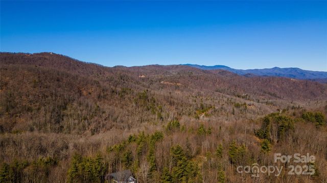295 S Feather Falls Trail 50, Black Mountain, NC 28711