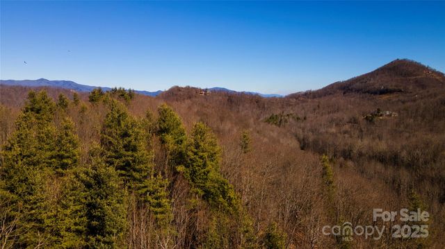 295 S Feather Falls Trail 50, Black Mountain, NC 28711