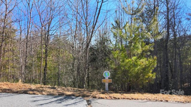 295 S Feather Falls Trail 50, Black Mountain, NC 28711