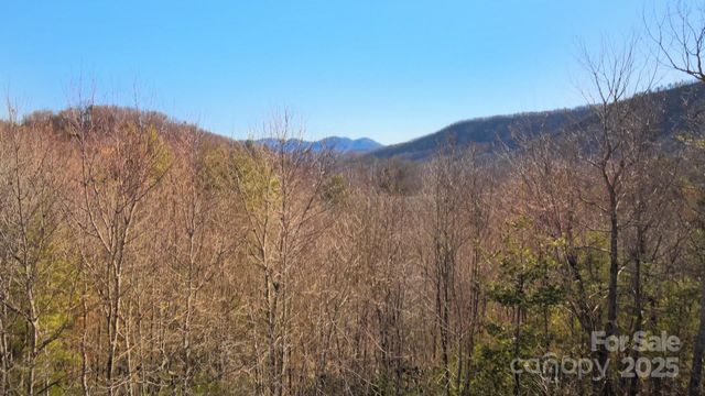 295 S Feather Falls Trail 50, Black Mountain, NC 28711