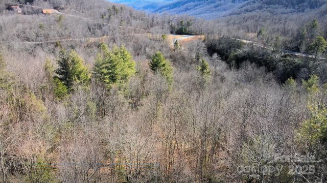 295 S Feather Falls Trail 50, Black Mountain, NC 28711