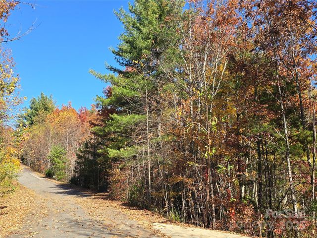 295 S Feather Falls Trail 50, Black Mountain, NC 28711