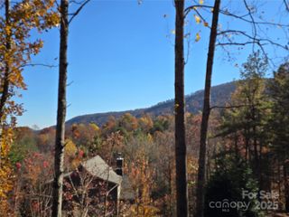 295 S Feather Falls Trail 50, Black Mountain, NC 28711