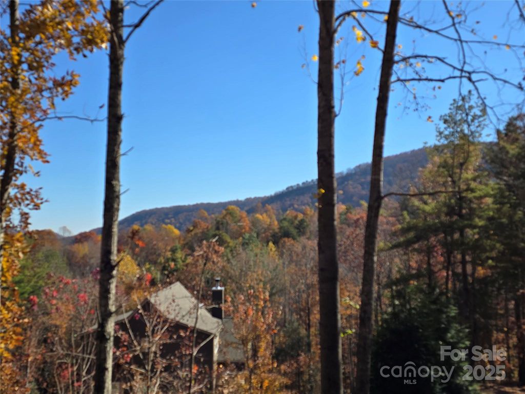 295 S Feather Falls Trail 50, Black Mountain, NC 28711