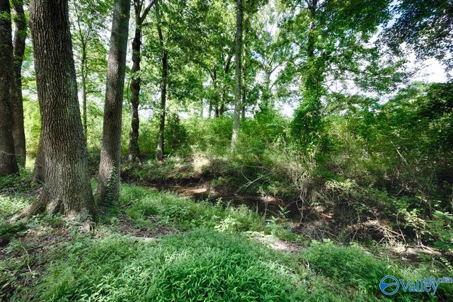 16712 Brooks Drive, Athens, AL 35611