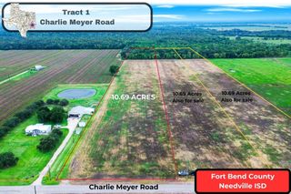 Tract 1 Charlie Meyer Road, Damon, TX 77430
