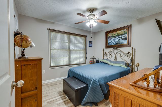 310 Daytona Dr, Cornersville, TN 37047