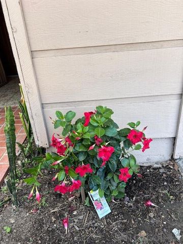 3154 Lloyd St, San Diego, CA 92117