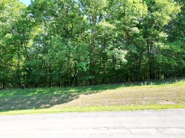 00 Sassafras CT, Moneta, VA 24121