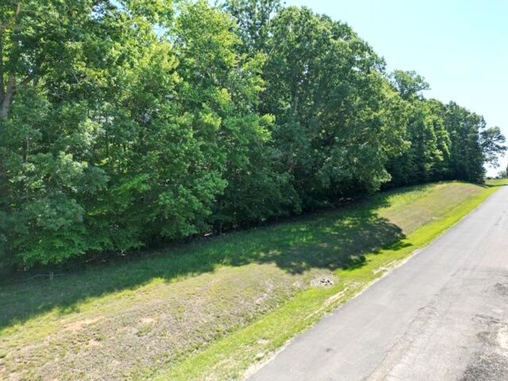 00 Sassafras CT, Moneta, VA 24121