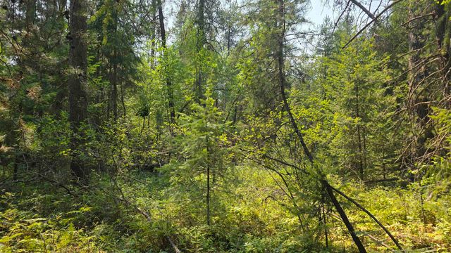 15 Lakeside Dr, Newport, WA 99156